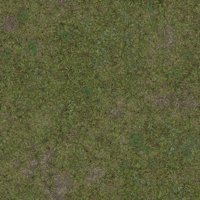 Asset preview
